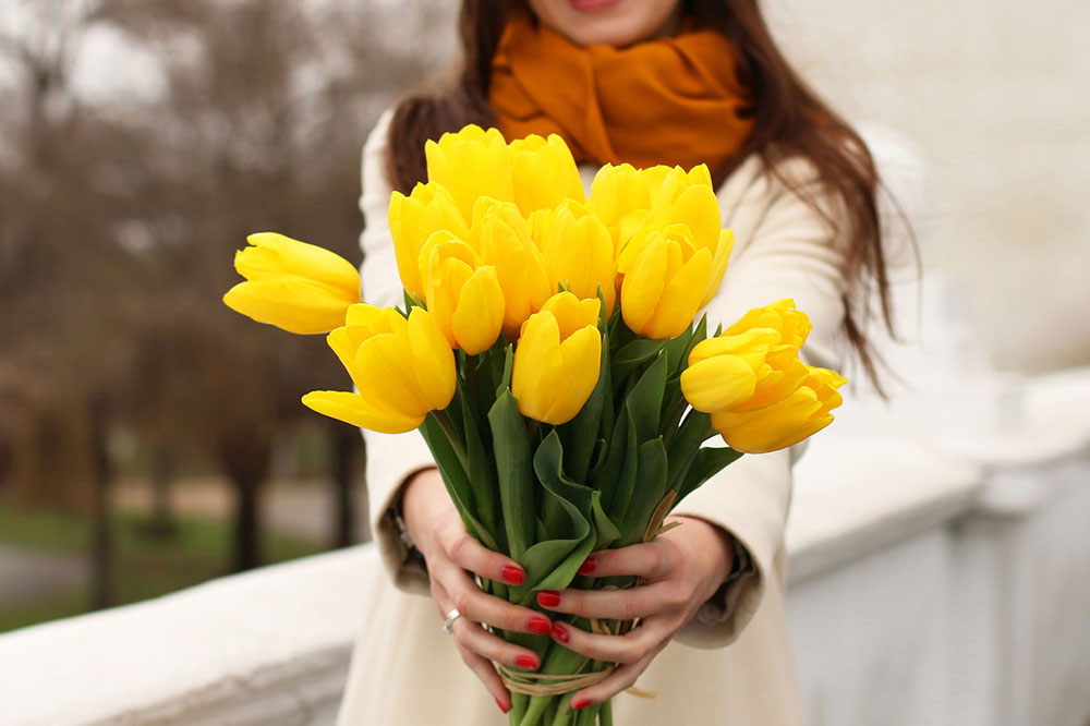 7 Flowering Plants That are Toxic for Cats