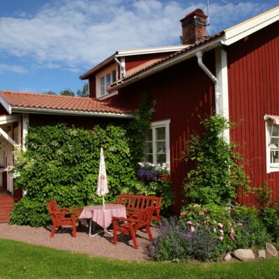 Eco-Green Lawns vs. Artificial Gardens