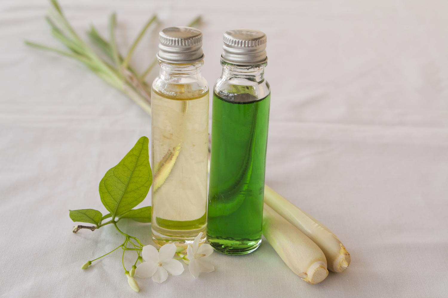 Essential Oil Safety for Cats