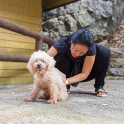 Nutritional Ways to Get Rid of Fleas and Ticks