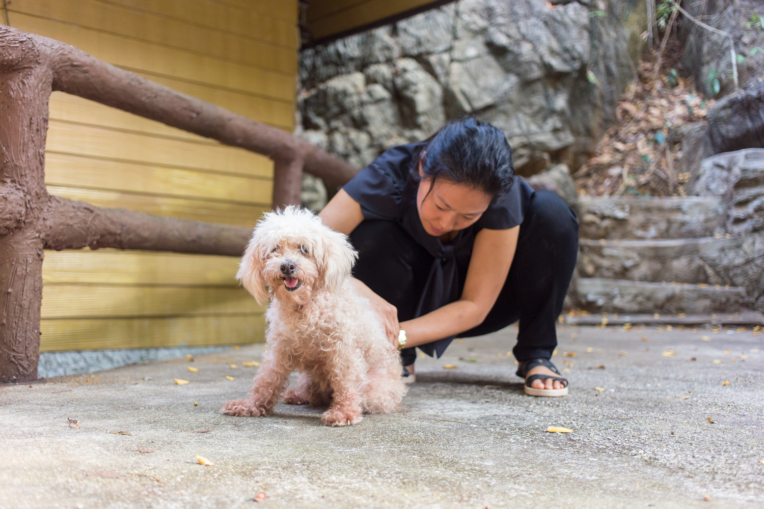 Nutritional Ways to Get Rid of Fleas and Ticks